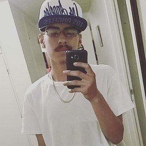 Meet your Posher, Ernesto